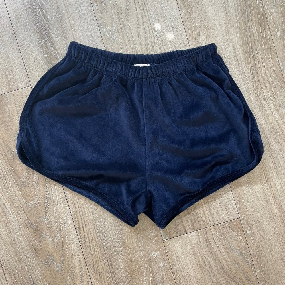 Brandy Melville Velvet Shorts
